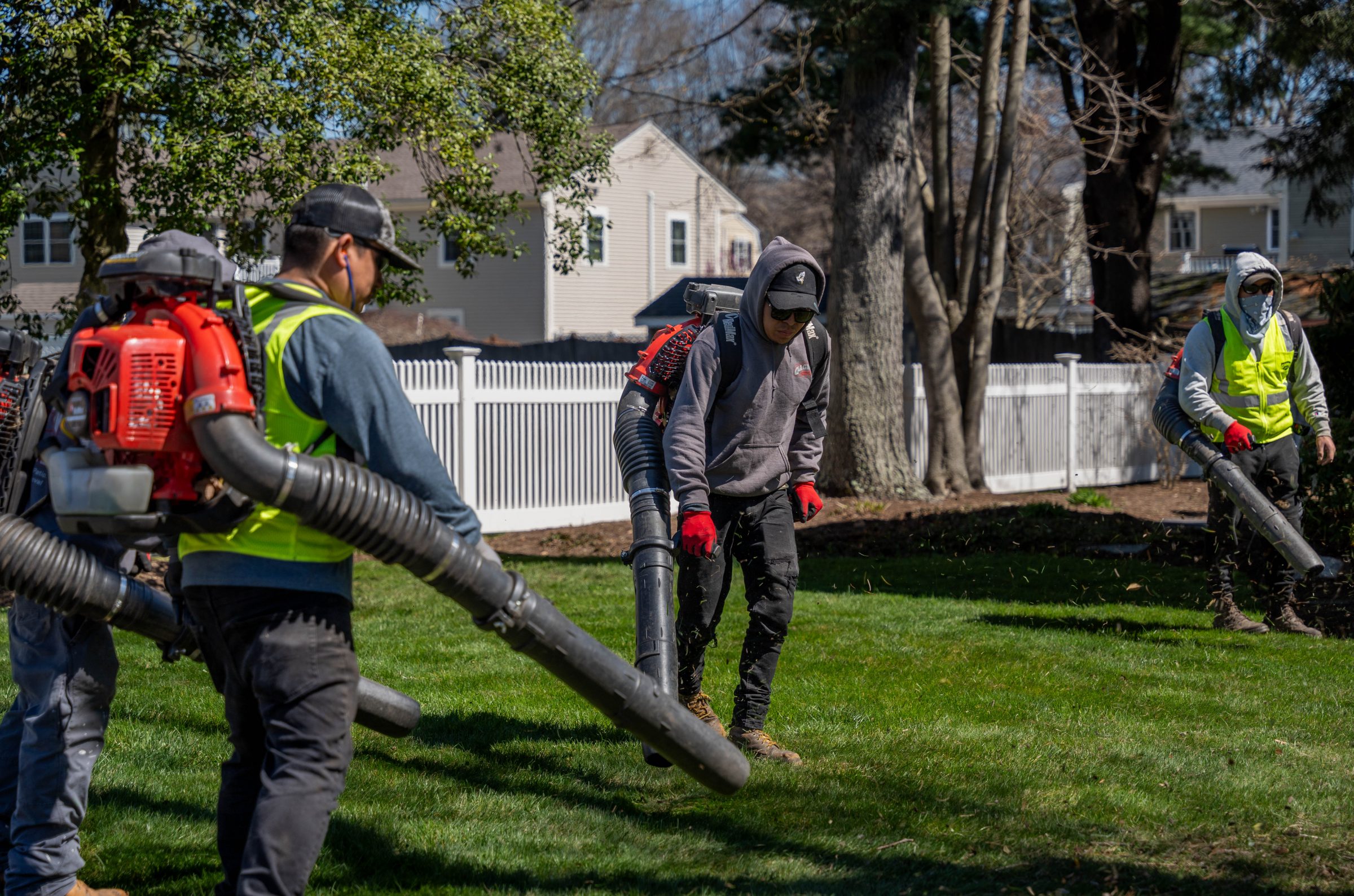 Landscapers using leaf blowers on suburban lawn
