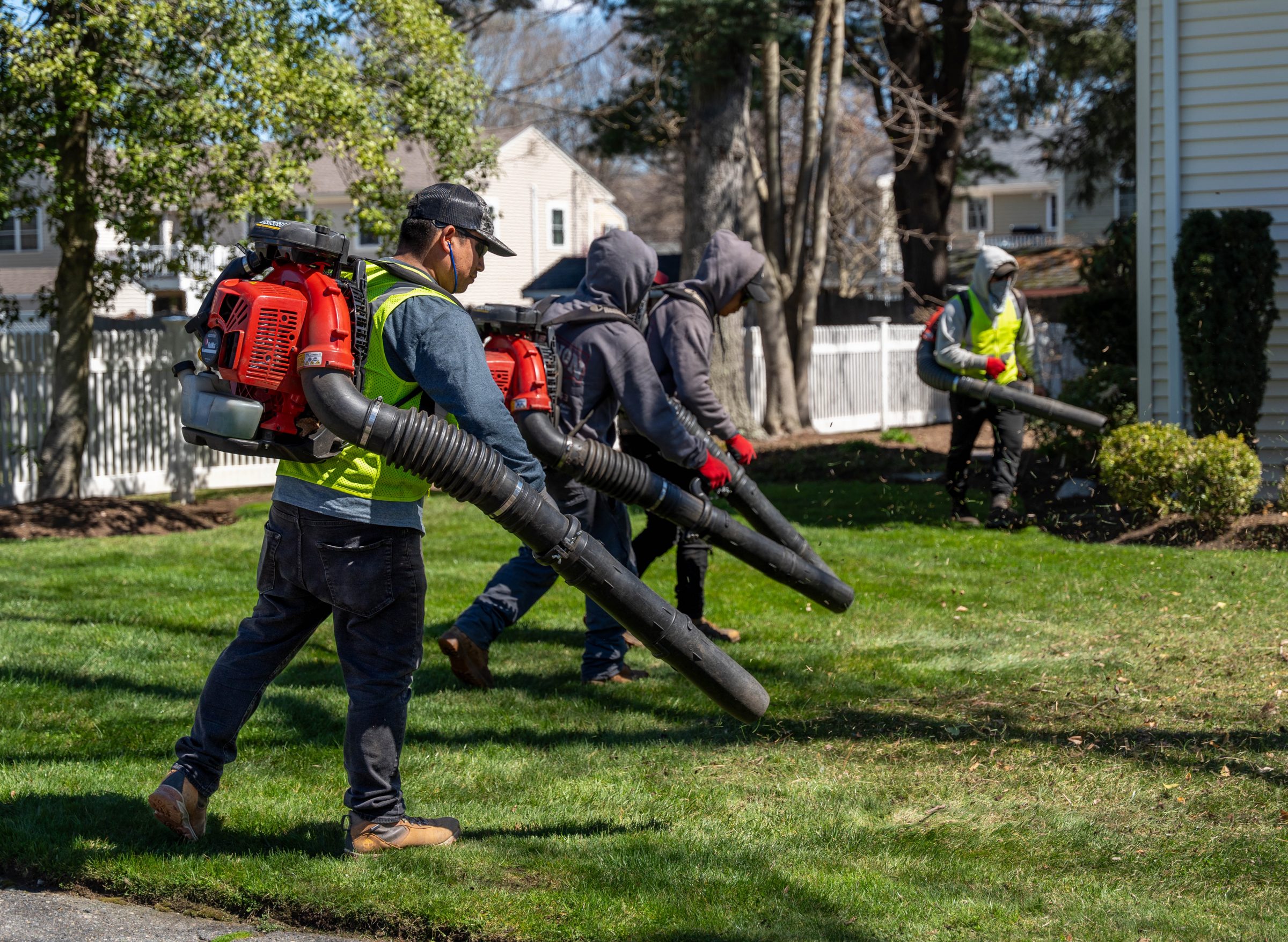 Landscaping crew using leaf blowers on suburban lawn