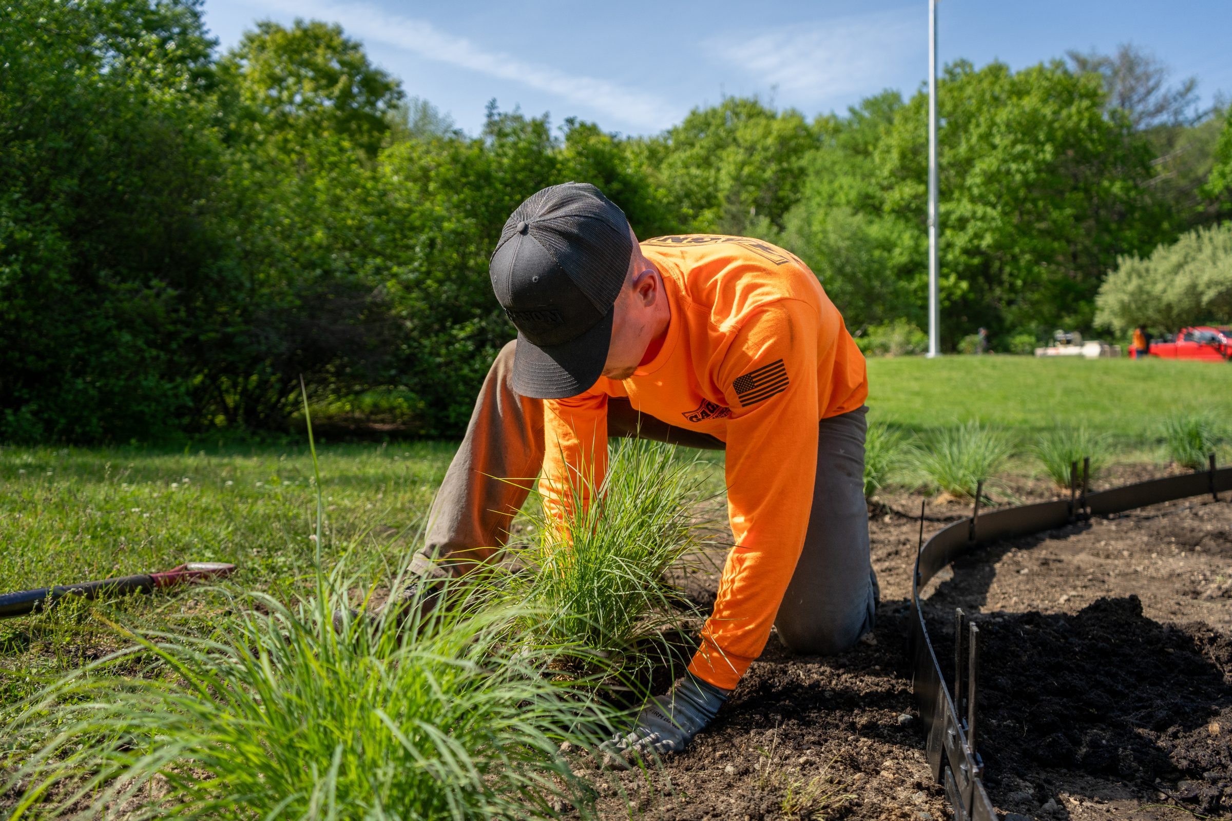 Man planting ornamental grasses in garden bed
