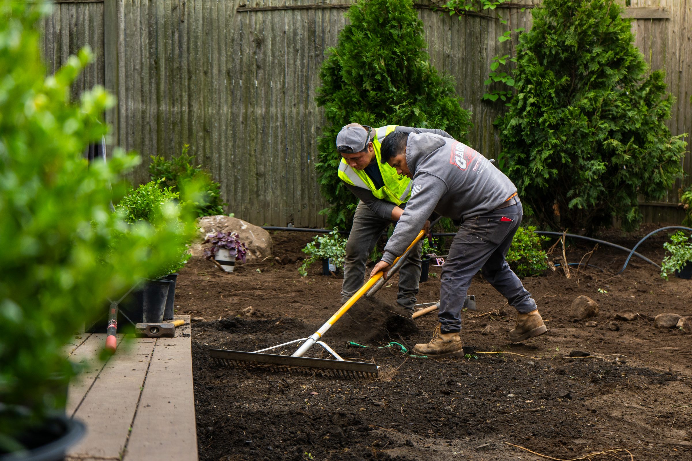 Two landscapers raking soil in backyard garden
