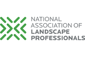 Green and gray abstract rectangular banner