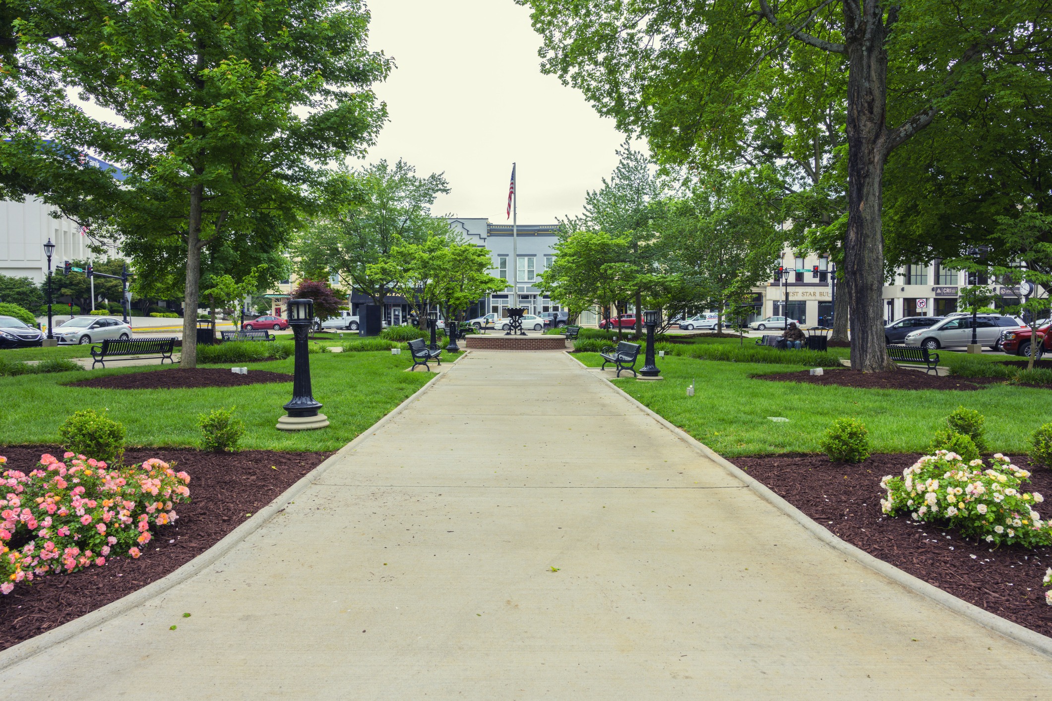 Tree-lined park walkway in small town square
