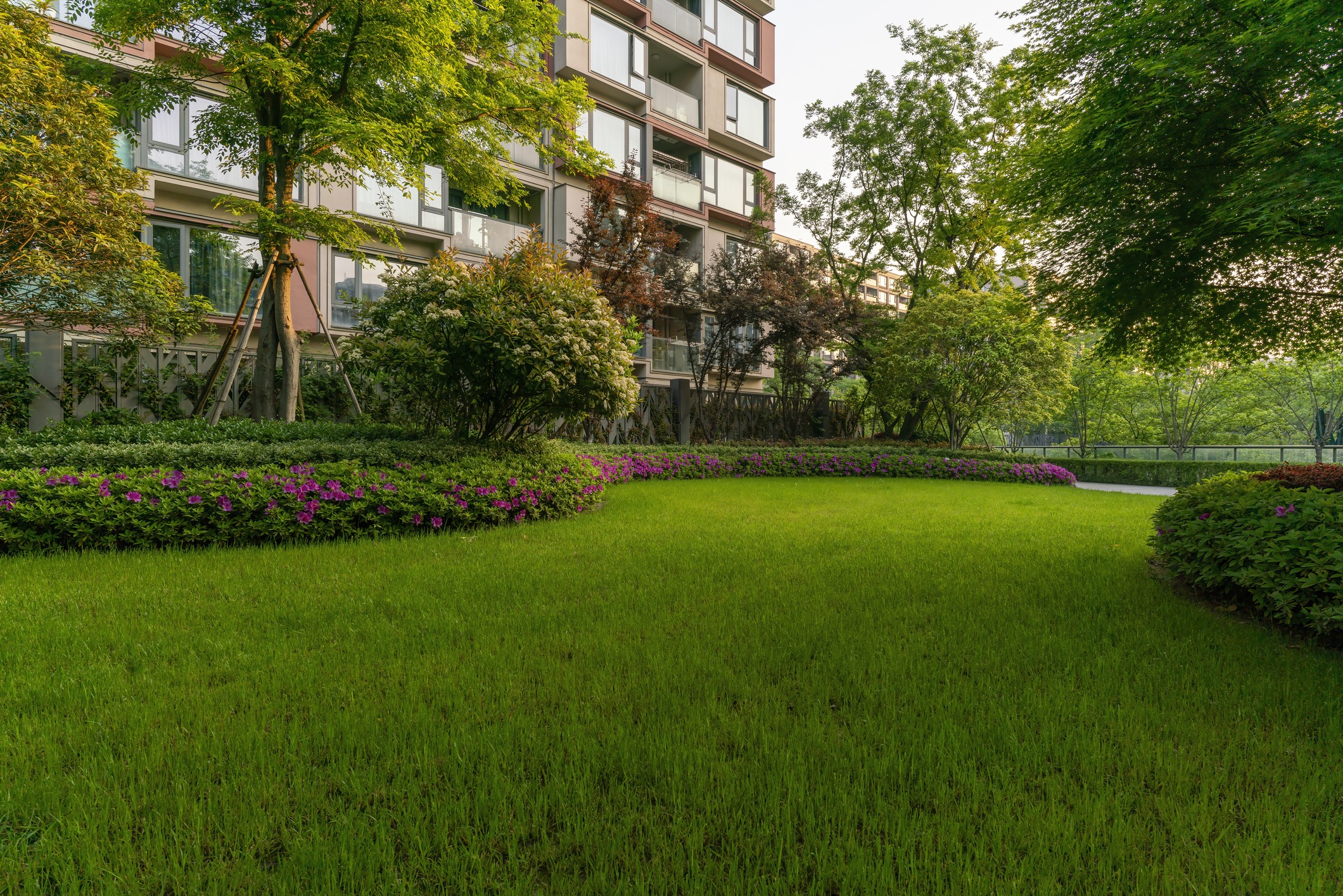 Landscaped lawn beside modern apartment building