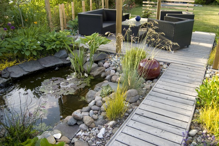 Backyard garden with pond and wooden deck