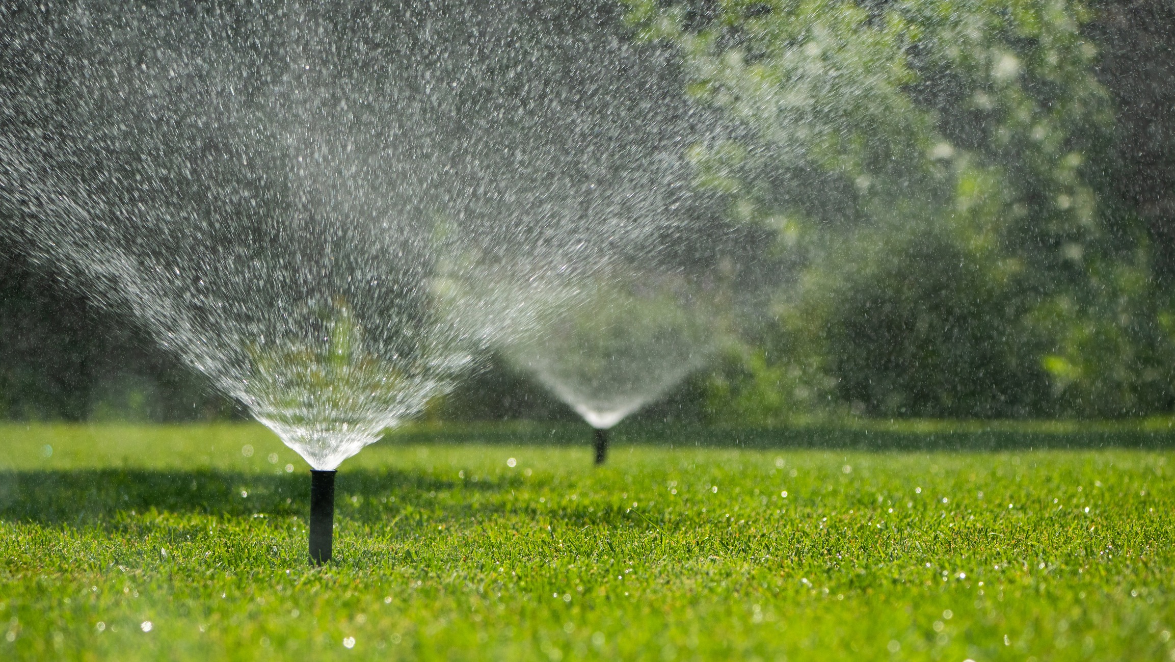 Lawn sprinklers watering green grass on sunny day