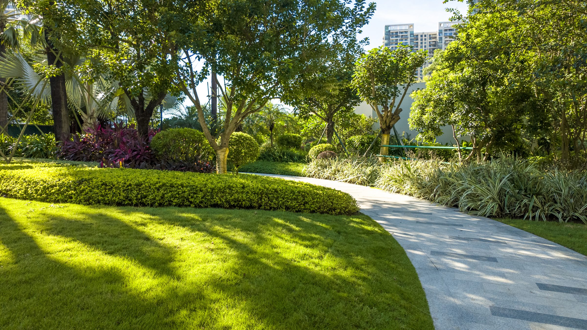 Sunny landscaped park with curved walkway and trees