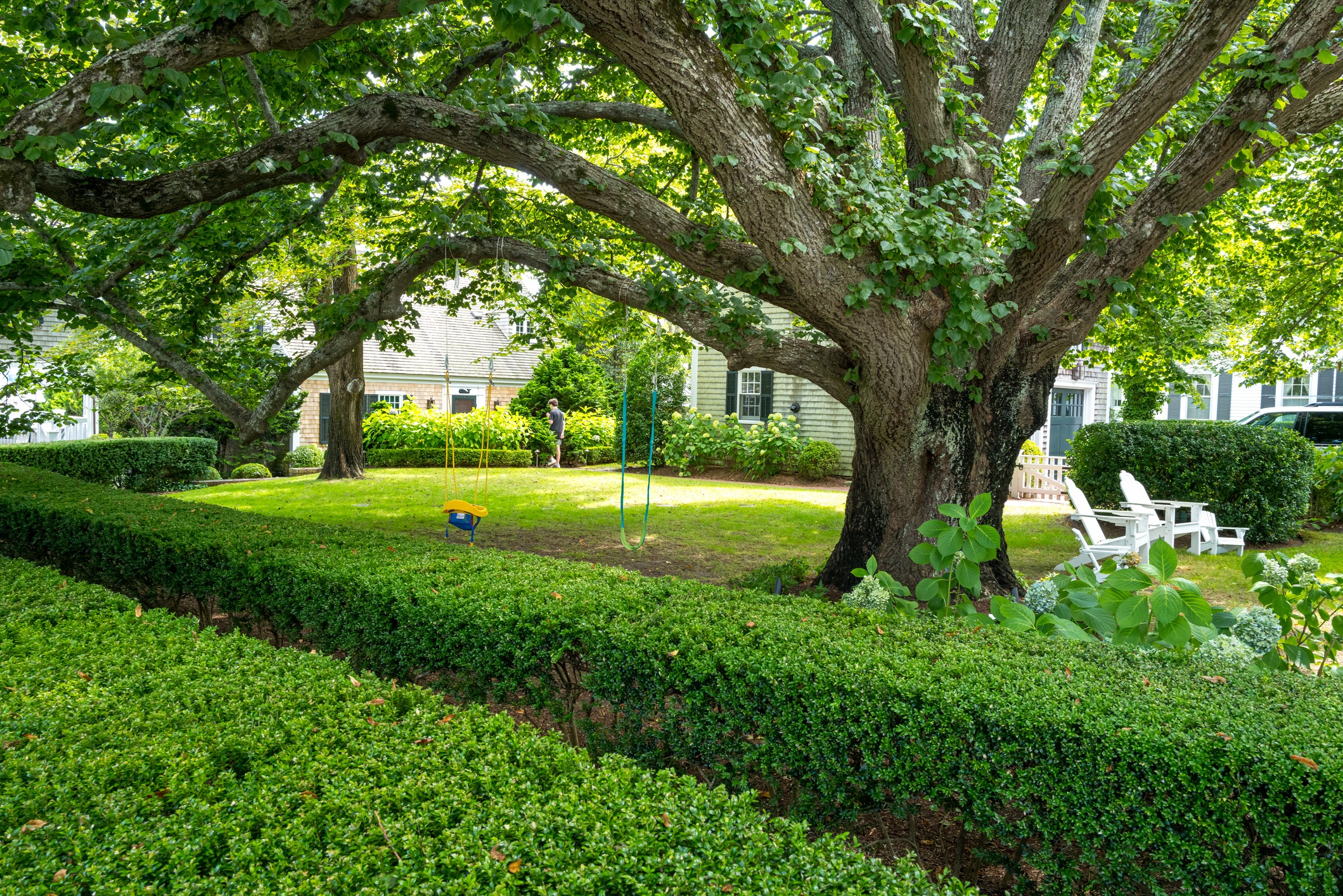 Shaded backyard with large tree and swings