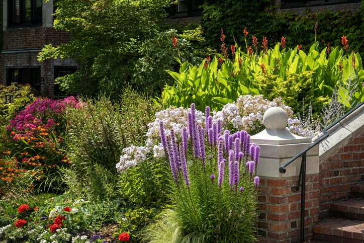 Colorful garden with blooming flowers and brick staircase